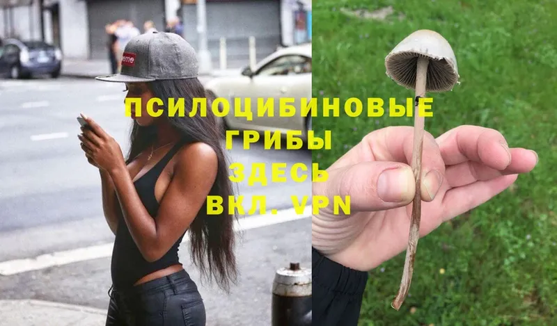 Галлюциногенные грибы Magic Shrooms  наркотики  Бронницы 